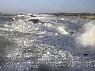 strand.jpg